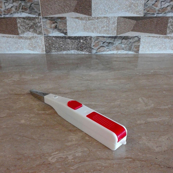 Electronic Igniter
