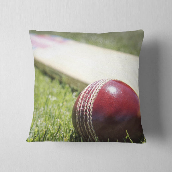 Ball & Bat Cushion
